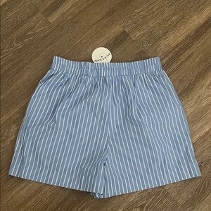 Blue Striped Shorts